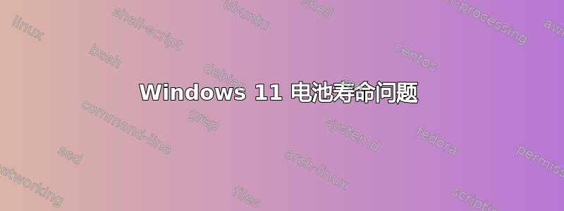 Windows 11 电池寿命问题