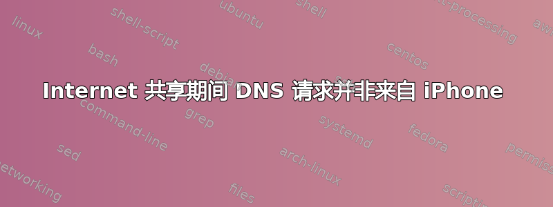 Internet 共享期间 DNS 请求并非来自 iPhone