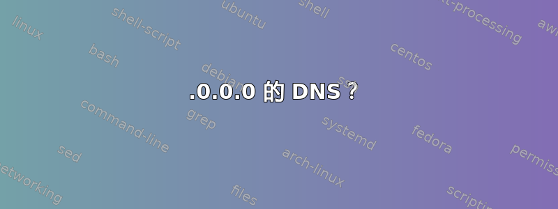 0.0.0.0 的 DNS？