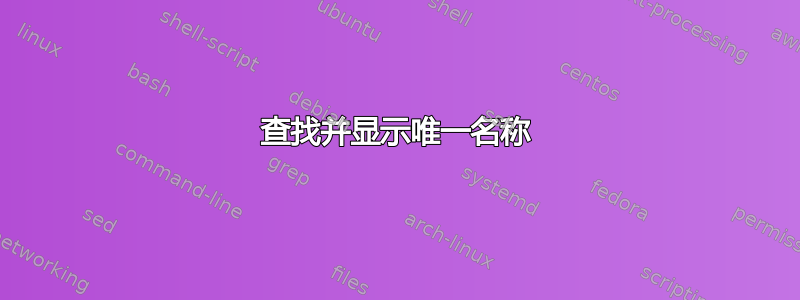 查找并显示唯一名称