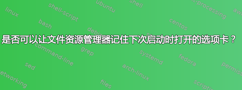 是否可以让文件资源管理器记住下次启动时打开的选项卡？