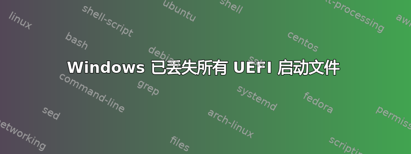 Windows 已丢失所有 UEFI 启动文件