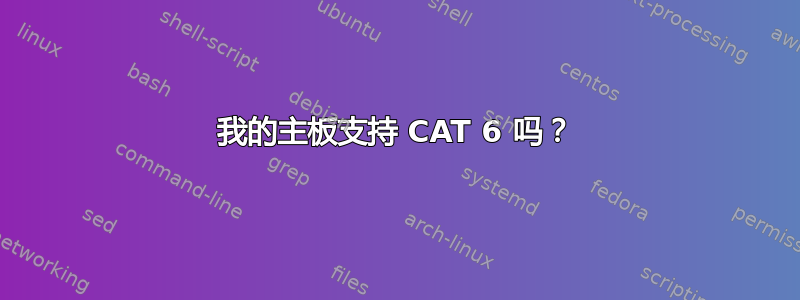 我的主板支持 CAT 6 吗？