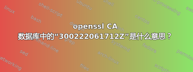 openssl CA 数据库中的“300222061712Z”是什么意思？