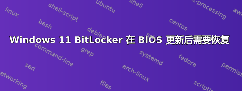 Windows 11 BitLocker 在 BIOS 更新后需要恢复