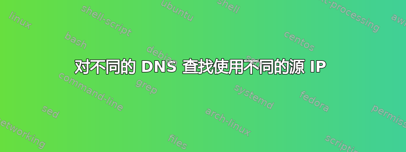 对不同的 DNS 查找使用不同的源 IP