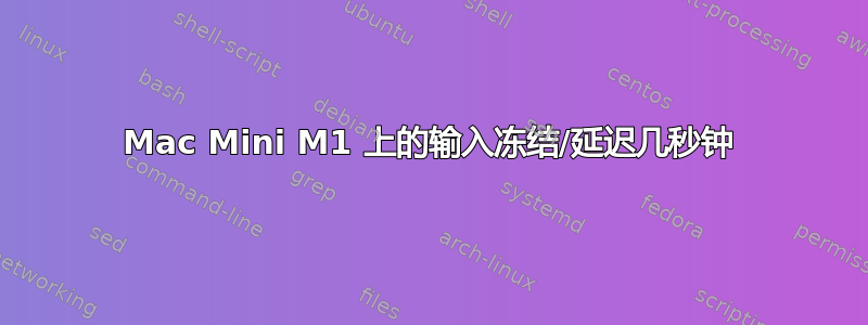 Mac Mini M1 上的输入冻结/延迟几秒钟