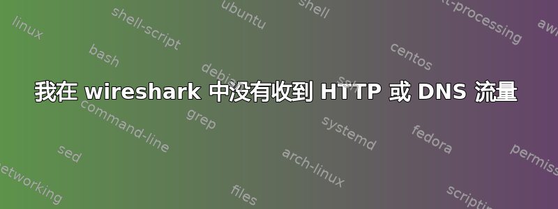 我在 wireshark 中没有收到 HTTP 或 DNS 流量