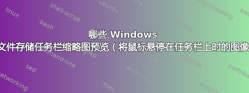 哪些 Windows 缓存文件存储任务栏缩略图预览（将鼠标悬停在任务栏上时的图像）？