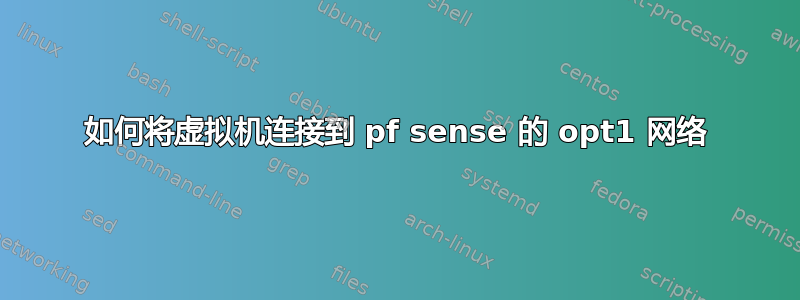 如何将虚拟机连接到 pf sense 的 opt1 网络