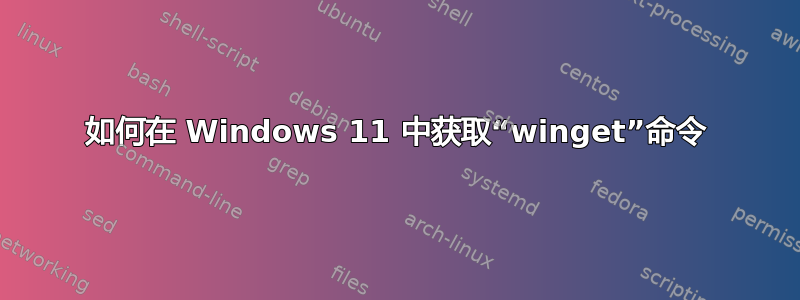 如何在 Windows 11 中获取“winget”命令