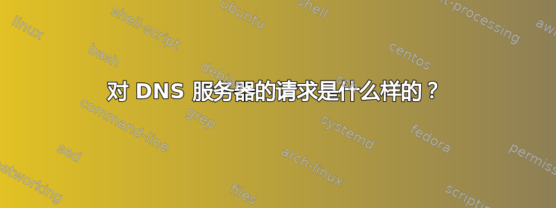 对 DNS 服务器的请求是什么样的？