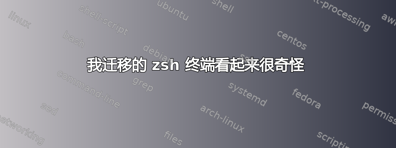 我迁移的 zsh 终端看起来很奇怪