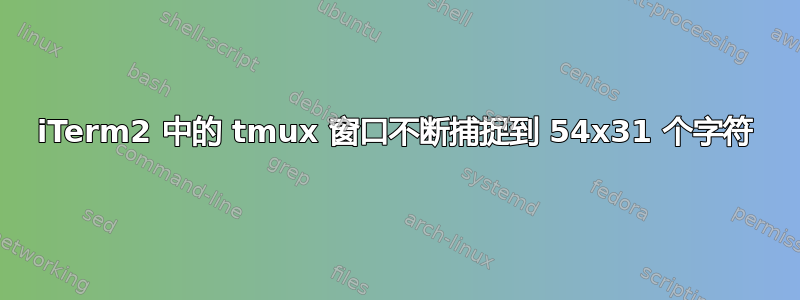 iTerm2 中的 tmux 窗口不断捕捉到 54x31 个字符