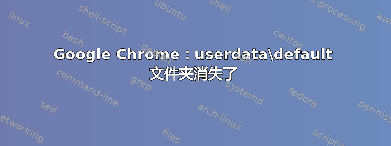 Google Chrome：userdata\default 文件夹消失了