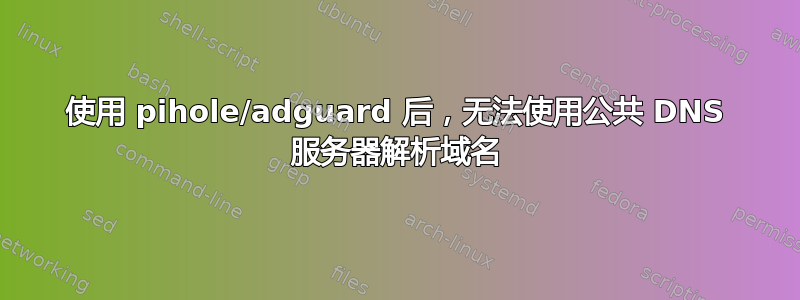 使用 pihole/adguard 后，无法使用公共 DNS 服务器解析域名