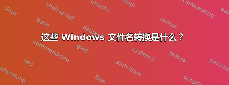 这些 Windows 文件名转换是什么？