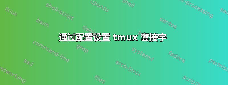 通过配置设置 tmux 套接字