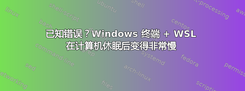 已知错误？Windows 终端 + WSL 在计算机休眠后变得非常慢