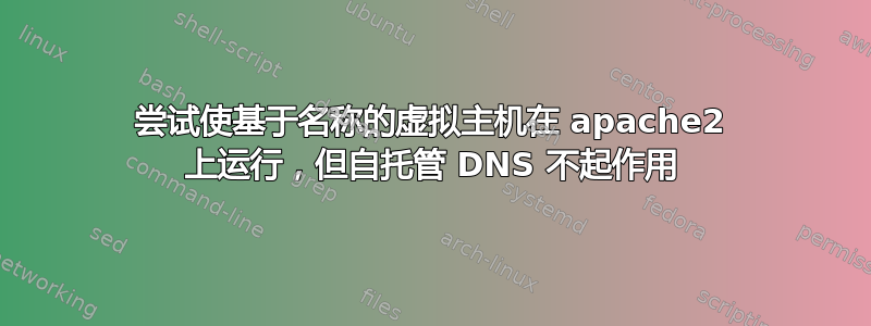 尝试使基于名称的虚拟主机在 apache2 上运行，但自托管 DNS 不起作用