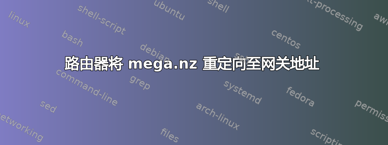 路由器将 mega.nz 重定向至网关地址