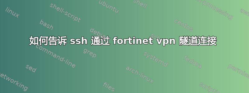 如何告诉 ssh 通过 fortinet vpn 隧道连接