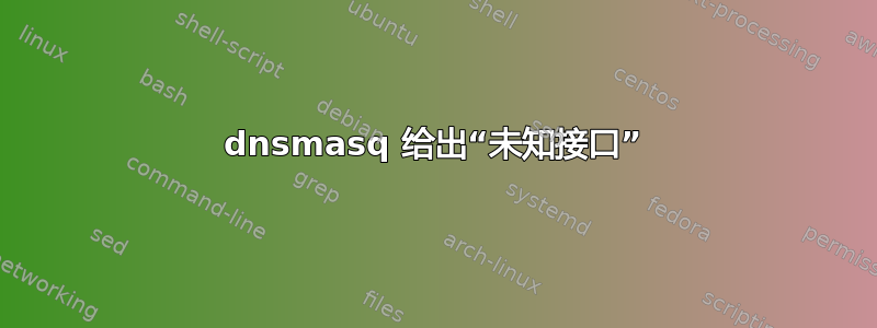 dnsmasq 给出“未知接口”