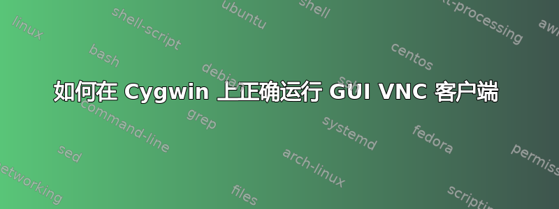 如何在 Cygwin 上正确运行 GUI VNC 客户端