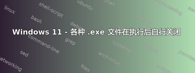 Windows 11 - 各种 .exe 文件在执行后自行关闭