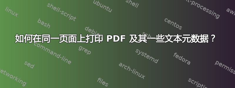 如何在同一页面上打印 PDF 及其一些文本元数据？