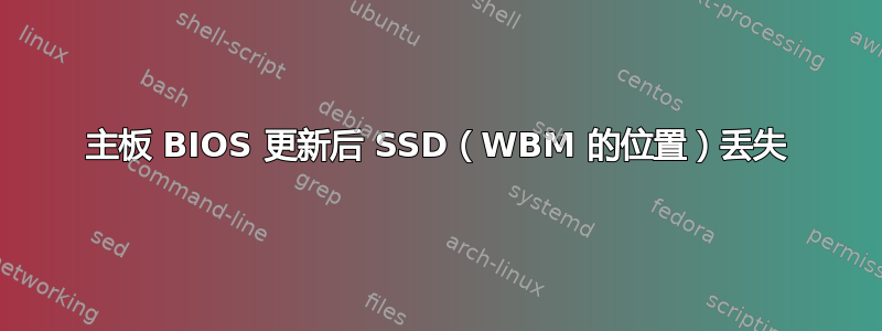 主板 BIOS 更新后 SSD（WBM 的位置）丢失