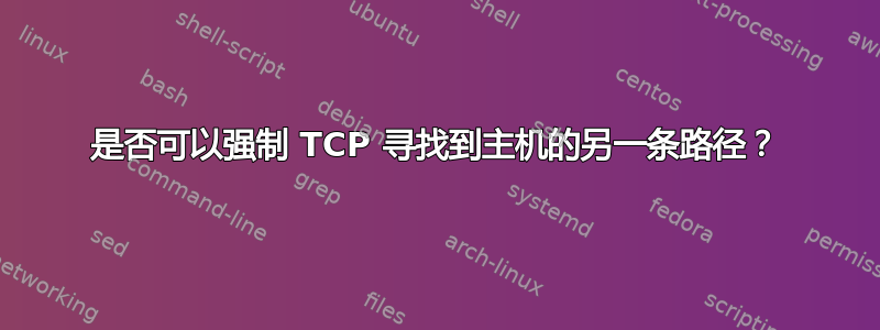 是否可以强制 TCP 寻找到主机的另一条路径？