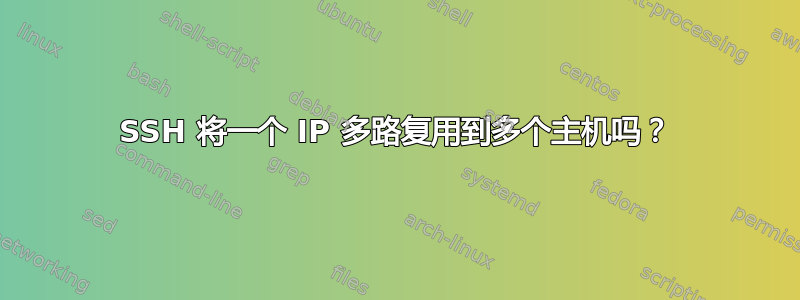 SSH 将一个 IP 多路复用到多个主机吗？