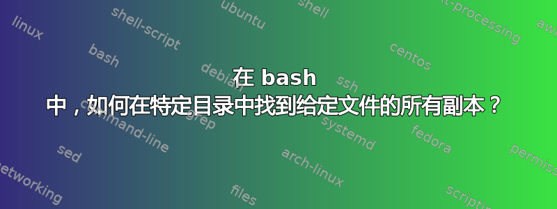 在 bash 中，如何在特定目录中找到给定文件的所有副本？