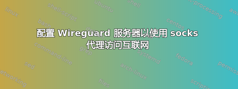 配置 Wireguard 服务器以使用 socks 代理访问互联网