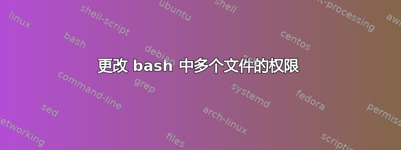 更改 bash 中多个文件的权限