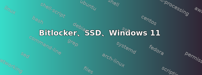 Bitlocker、SSD、Windows 11