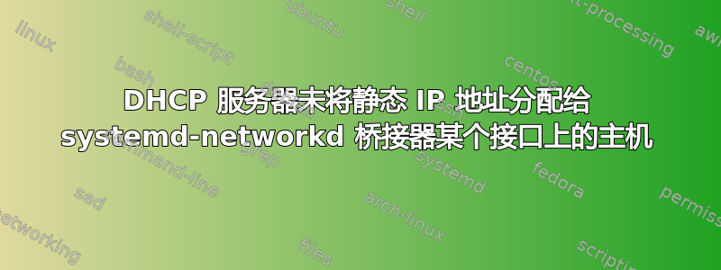 DHCP 服务器未将静态 IP 地址分配给 systemd-networkd 桥接器某个接口上的主机