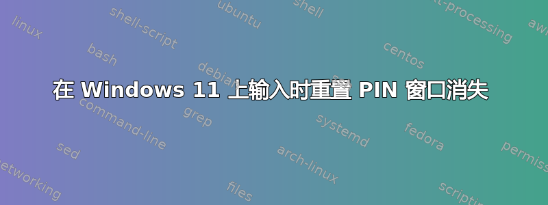 在 Windows 11 上输入时重置 PIN 窗口消失