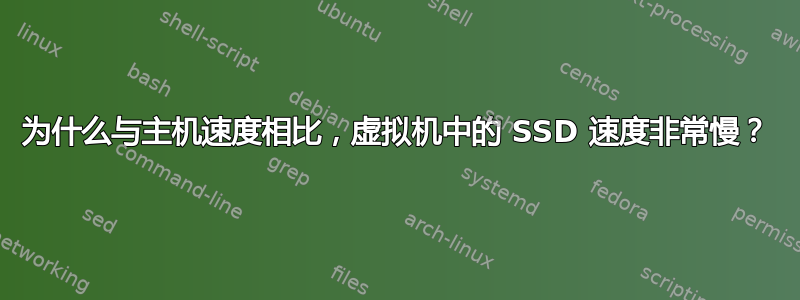 为什么与主机速度相比，虚拟机中的 SSD 速度非常慢？