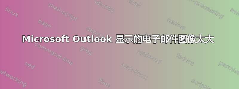 Microsoft Outlook 显示的电子邮件图像太大