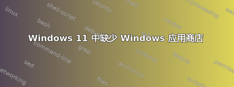 Windows 11 中缺少 Windows 应用商店