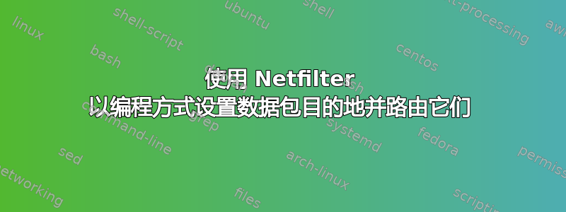 使用 Netfilter 以编程方式设置数据包目的地并路由它们