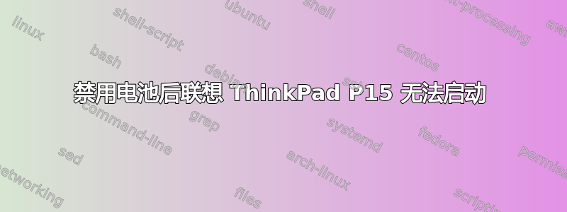 禁用电池后联想 ThinkPad P15 无法启动