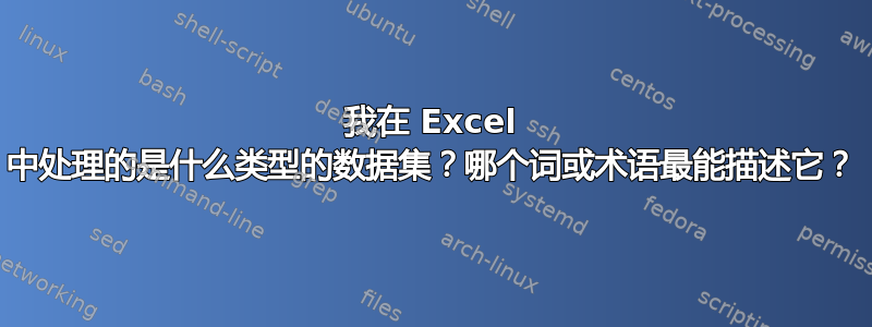 我在 Excel 中处理的是什么类型的数据集？哪个词或术语最能描述它？