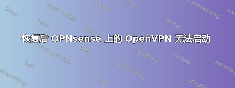 恢复后 OPNsense 上的 OpenVPN 无法启动