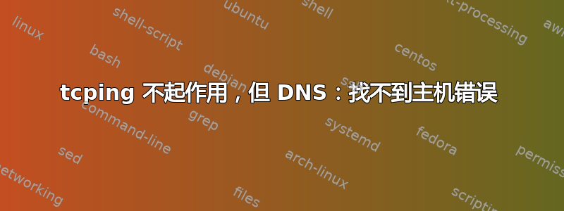 tcping 不起作用，但 DNS：找不到主机错误