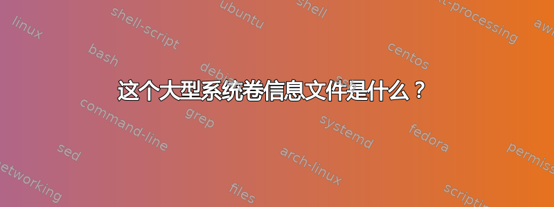 这个大型系统卷信息文件是什么？