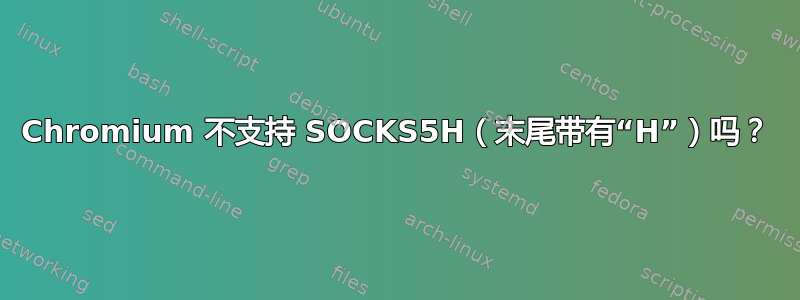 Chromium 不支持 SOCKS5H（末尾带有“H”）吗？