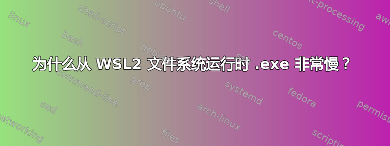 为什么从 WSL2 文件系统运行时 .exe 非常慢？